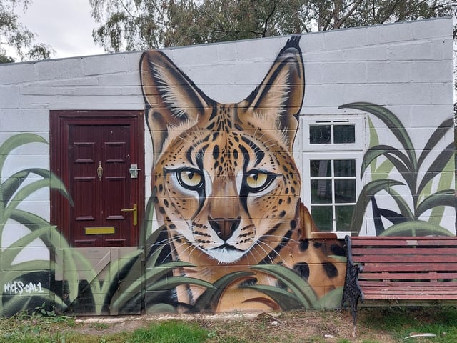 The refuge near Deeping St James boasts wall art created by legendary local street artist Nathan 'Nyces' Murdoch