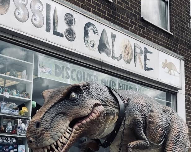 The ever-popular Fossil's Galore on March High Street is a labour of love for owner and dedicated fossil expert, Jamie Jordan.