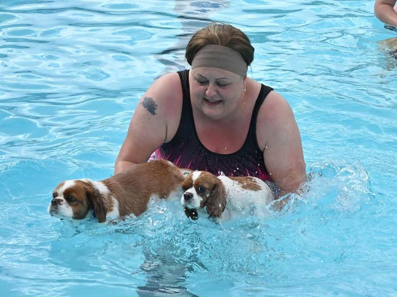 Last year’s dog swims were held in early September and attracted pooches of all shapes and sizes