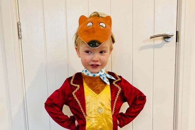Fantastic Mr Fox, complete with the chicken pox!