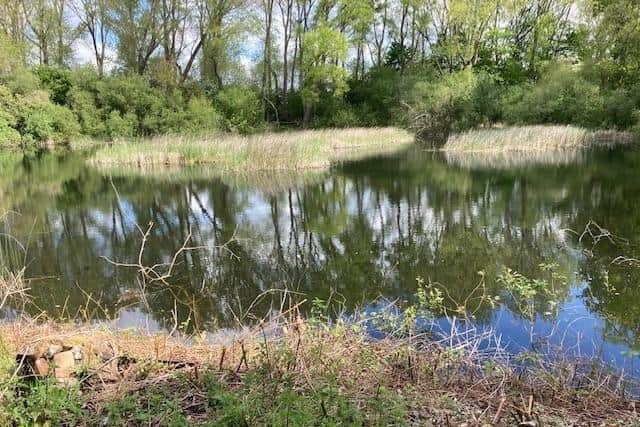 The agreement will help save wildlife at the reserve