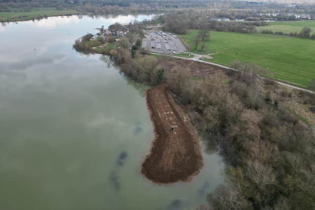 New reed beds at Gunwade Lake in Ferry Meadows.
