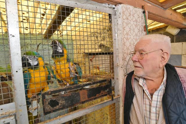 Gordon's birds are his prized possessions (image: David Lowndes)