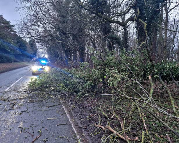 Police said there had been dozens of calls about fallen trees and branches across Cambridgeshire today
