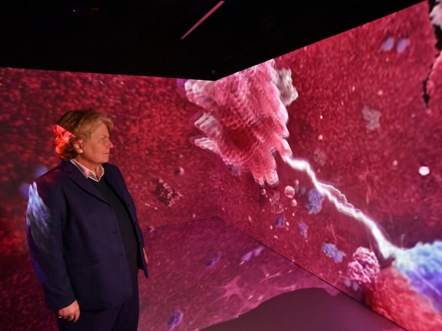 Opening of a Virtual Reality Studio at ARU Peterborough by Sandi Toksvig