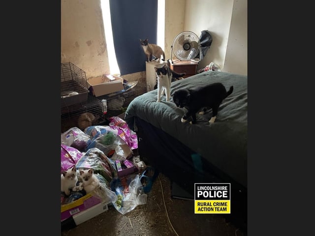 55 animals were found inside the house.