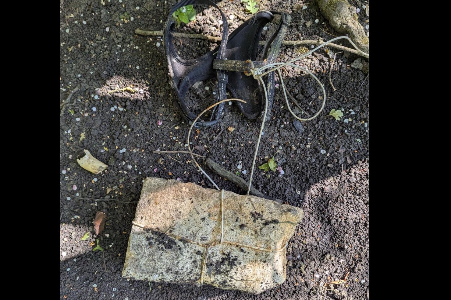 RSPCA appeal after dog found deliberately drowned in Peterborough