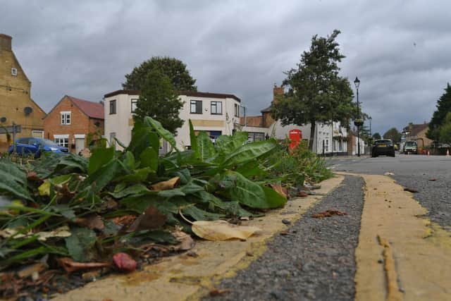 Weeds in the road at Stilton