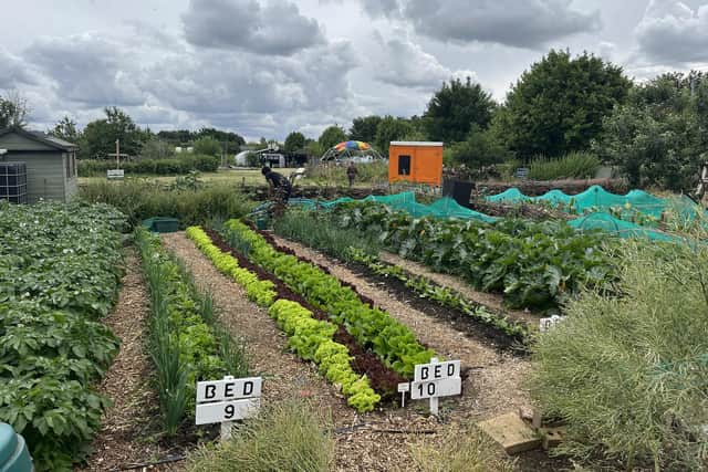 The new educational market garden at The Green Backyard