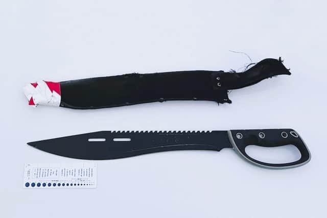 An example of a 'zombie knife'