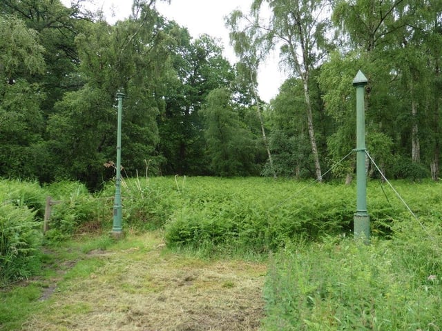 Holme Fen Posts were erected in 1848 to record the peat shrinkage. The base of the post was embedded in the clay layer that underlies the peat and the top of the post was cut off level with the soil surface. Today approximately 4 metres of the post is showing above ground recording the ground subsidence since 1852.