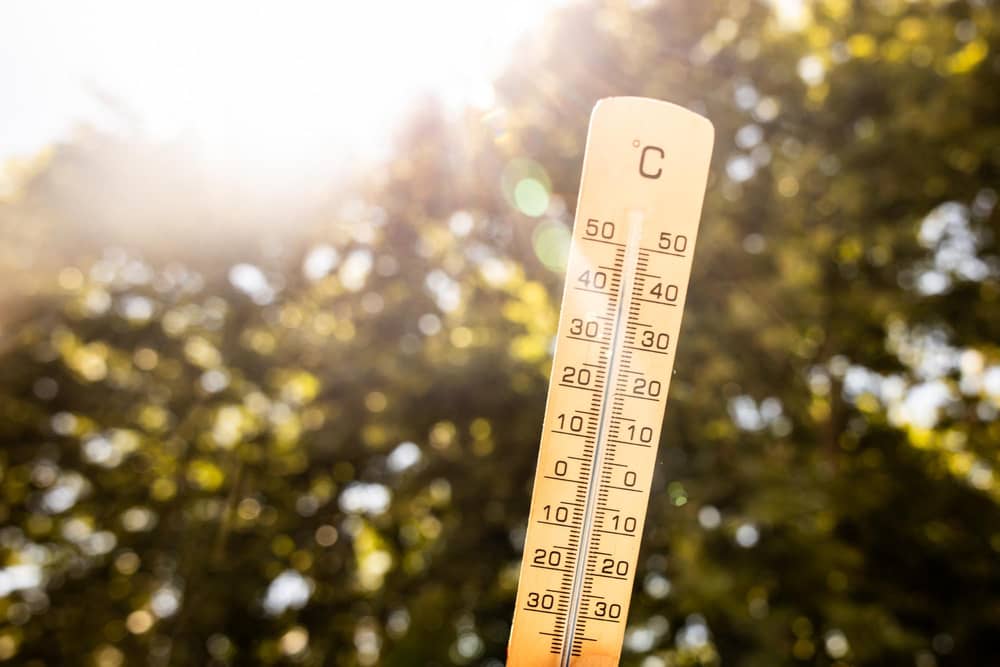 Peterborough could experience highs of 34C later this week