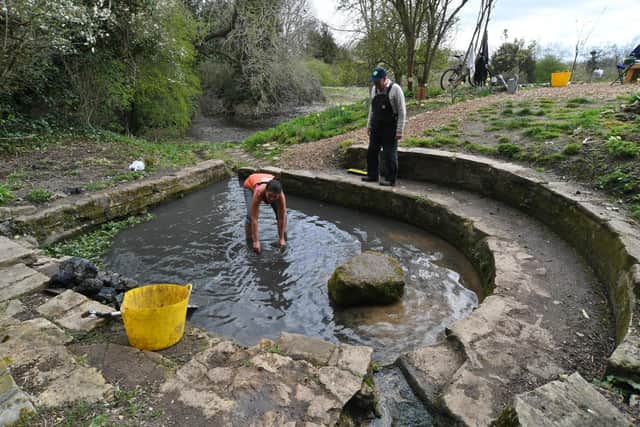 Holywell Ponds Spring
