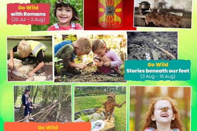 Go Wild this summer at Flag fen