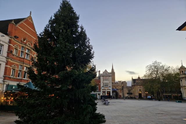 Peterborough's Christmas Tree arrives in Cathedral Square