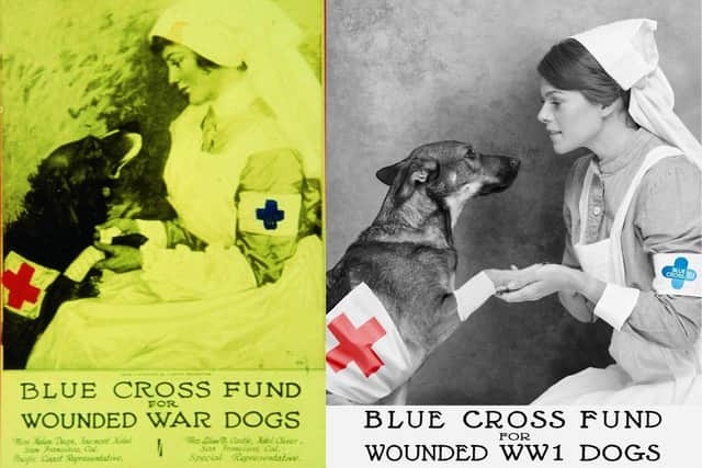 Paralympian Lauren Steadman MBE recreates a photo from the Blue Cross charity's archives with her rescue dog Kira