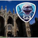 The ‘Monsters of the Sea’ exhibition at Peterborough Cathedral will run from July 15 to September 1 (main image: Getty)