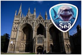 The ‘Monsters of the Sea’ exhibition at Peterborough Cathedral will run from July 15 to September 1 (main image: Getty)