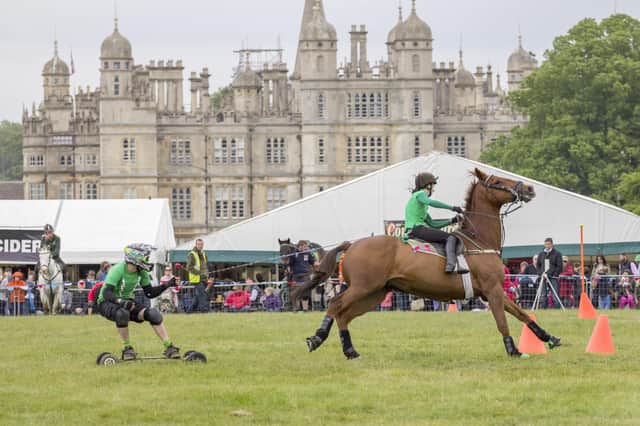 Burghley Game and Country Fair show in 2015
Photos: Lee Hellwing