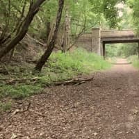 The near-perfect autumn walk near Peterborough which follows an abandoned railway line that closed in the 1960s