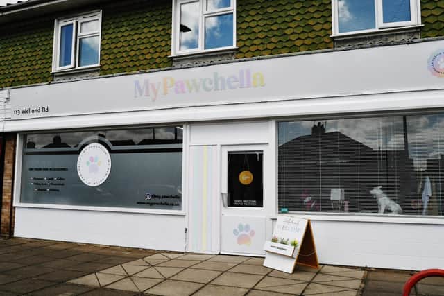 My Pawchella dog accessories company in Welland Road (image: David Lowndes).