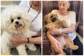 Barchester Longueville Court Care Home was visited by therapy pets for World Alzheimer's Awareness Month