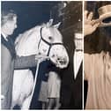 Ifor Williams pictured in The Stilton Club, having a beer with his horse, Banjo (left), and photographed with his red, white and blue sausages for the Queens Silver Jubilee.