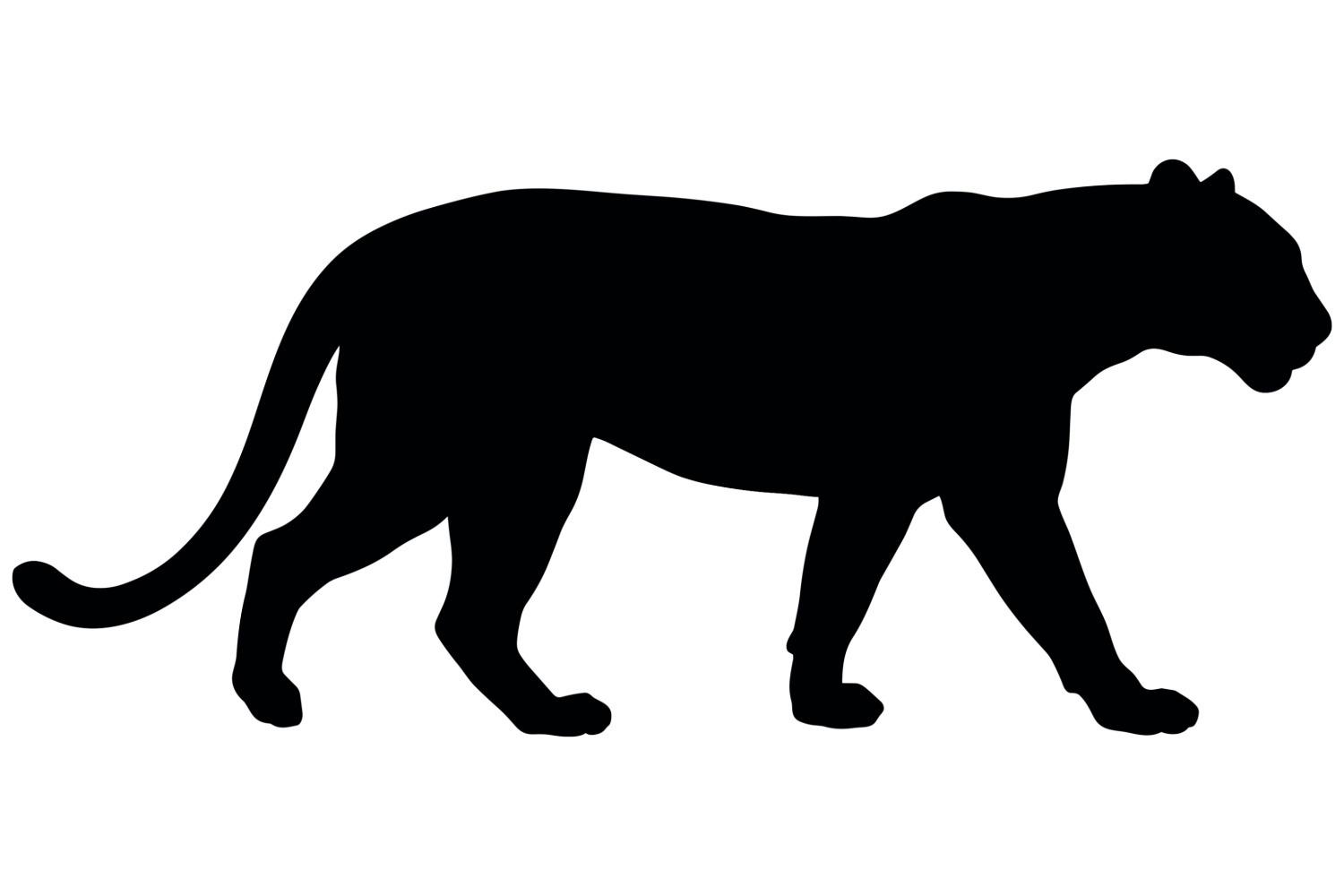 Residents report 'big cat' sighting in Peterborough
