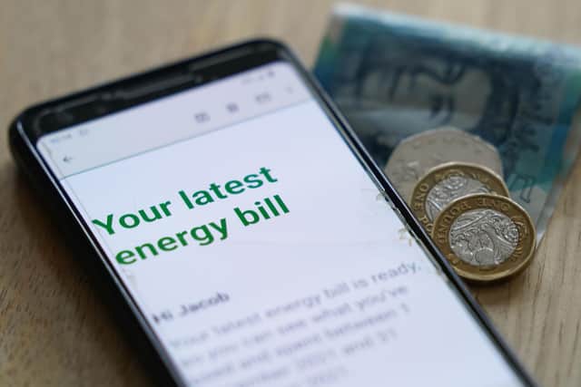 "The idea that we will all essentially pay for our energy consumption now on credit is ludicrous."