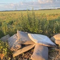 Man fined more than £1,000 after dumping waste on Peterborough verges