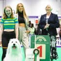 Gracie Henwood, 19, and her eight-year-old mixed breed Elton will be showing at Crufts 2023.