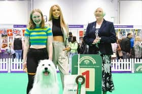 Gracie Henwood, 19, and her eight-year-old mixed breed Elton will be showing at Crufts 2023.