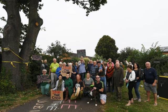 Protesters have been trying to save the tree