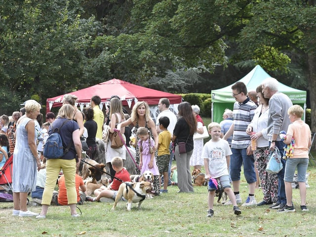 Dog show