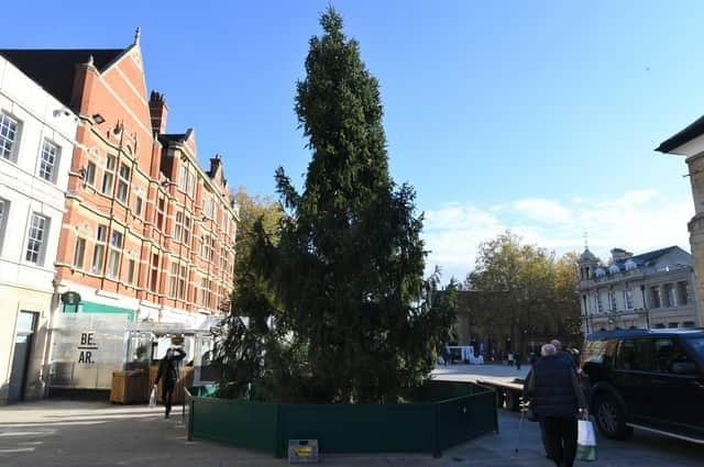 Last year's tree in Cathedral Square - there were calls to replace the centrepiece after residents said it looked like it arrived in the square already dead