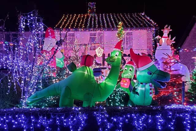 This will be the seventh Christmas light fundraiser that local landscaper, David Wooldridge, has held at his home on Longthorpe Green for Sue Ryder.