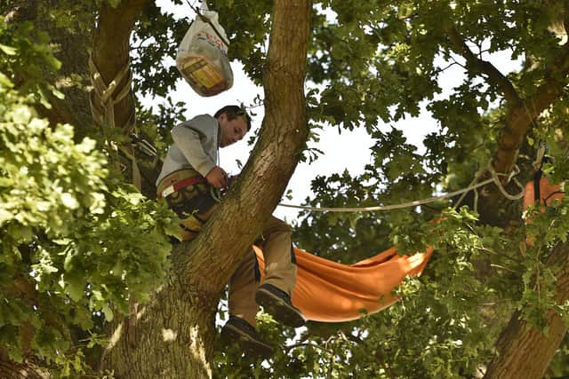 ‘Shrike’, whose nickname is inspired by a bird, was one of the protestors in the tree (image: David Lowndes)