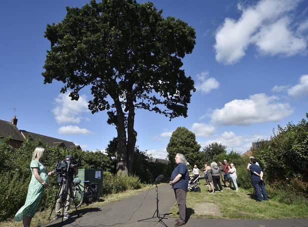 Peterborough City Council says there will not be an inquiry into the felling of this historic oak tree in Bretton.