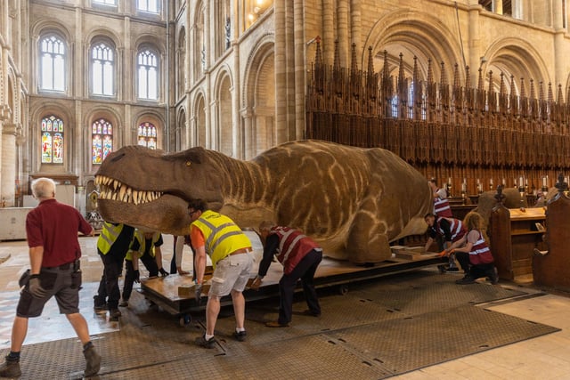The exhibition is being put together by the Natural History Museum