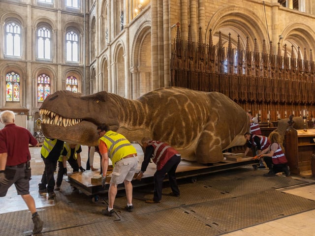 The exhibition is being put together by the Natural History Museum