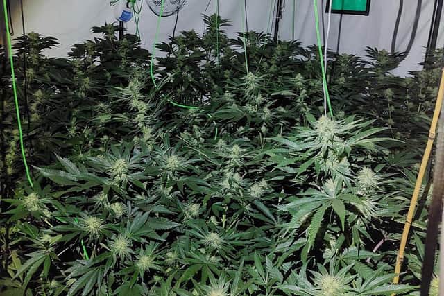 Some of the drugs found by police