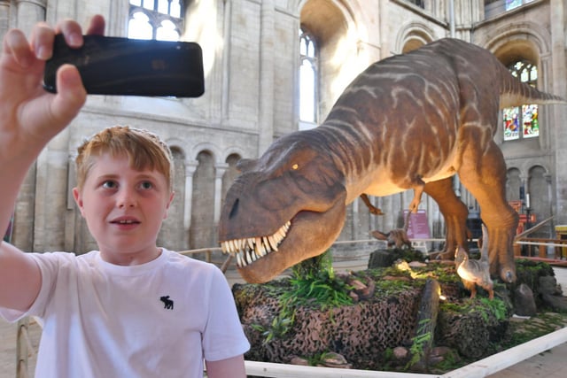 Peterborough Cathedral's T.Rex Exhibition  Taking a selfie  is Harry Beacham (12)