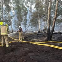 Nature to return to blaze hit Holme Fen Reserve - but visitors urged to stay away from fire site