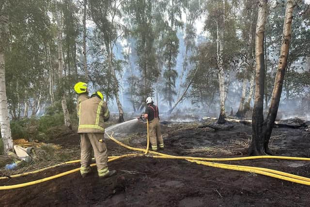 Fire fighters battling the blaze at Holme Fen
