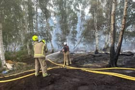 Fire fighters battling the blaze at Holme Fen