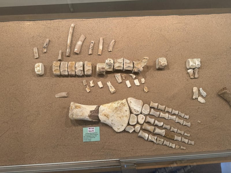 One of the museum's many exhibits