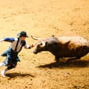 A breathtaking scene at San Antonio rodeo