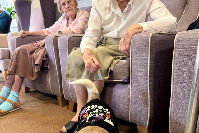 Halloween at Cherry Hinton Care Home