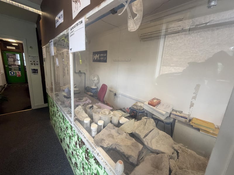 The live demonstration area