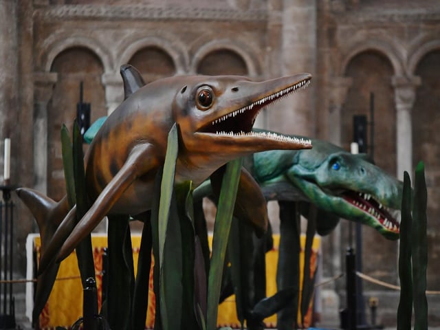 The exhibition closes on Sunday